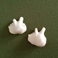 mame.05 (@mamehacchi) 's Twitter Profile Photo