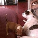 Ingrid Terry - @hur_han - Twitter