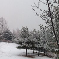 겨울나그네 (@my21cbiz) 's Twitter Profile