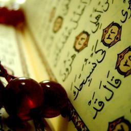 quransaysquotes Profile Picture
