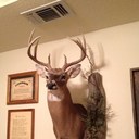 Terry McAdams - @TlmacTerry - Twitter