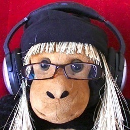 Pastor at: The Church of MAFO
Monkey Around ~ Find Out
Clearing Demons One S-C-R-E-A-C-H At A Time
🙉 😱 🙊 😱 🙈