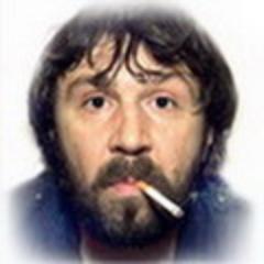 Многозадачный боевой человек-андроид.