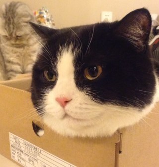 pmhero's profile picture. 吃喝睡