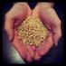 Great State Malting (@greatstatemalt) Twitter profile photo