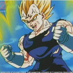all my life i tryed  best to supass kakarot *powers up and tansfrom into majin vegeta* babidi you can take over my mind but you can never take my pride!