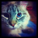 William Maxwell - @william_maxwell - Twitter