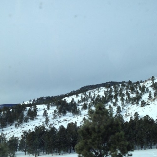 BrandeThompson1's profile picture. 