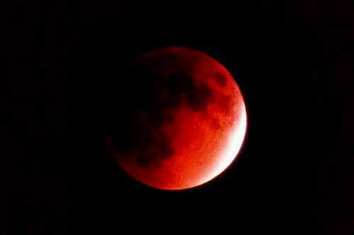 mr_shobokure's profile picture. 日々衰退中 … 消えてなくなりそうです が 映画と音楽をエサに どうにか生き延びています