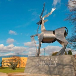 SurreyNWFest's profile picture. Surrey New Writers Festival, March 15 2014, Guildford, Surrey