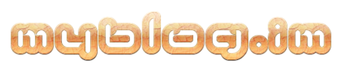 Webmaster & Web Developer