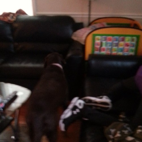 marie48326551's profile picture. 