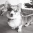 WilsonMYi1025's profile image