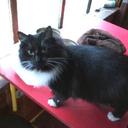 marcela gatica - @836gd - Twitter