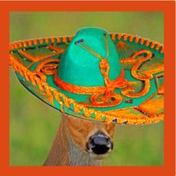 UbuntuAudiocast's profile picture. It's not a podcast; it's an audiocast. It's an audio show that's not on the radio. It's about Ubuntu. It's not just software.