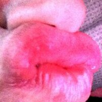 lip smelling (@lsmelling) 's Twitter Profile