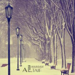 shlshl6's profile picture. 