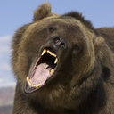 Ryan Bushey - @BearBushey - Twitter