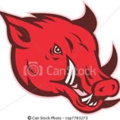 Everraco's profile picture. 