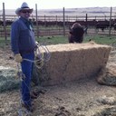 Ron Greer - @birdmancstg - Twitter