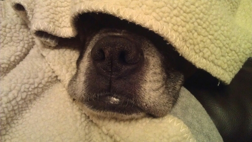 msluggett's profile picture. 