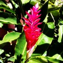 Muriel Adams - @expresma - Twitter