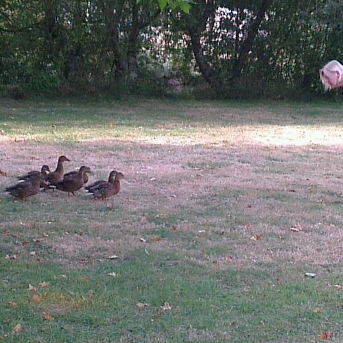 RitchieWawrd's profile picture. A northern lad living in the south with a love of playing Cricket and Rugby, badly! but has a rare talent to ensure beer is involved at some point. Always