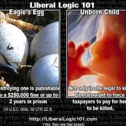 nmaureen's profile picture. Let's fight to keep our Replublican form of Gov...http://t.co/b30Kwn9f2F