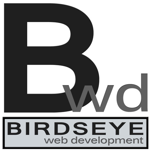 Birdseye Web Development is a web development and marketing consulting firm specializing in brand expansion. Contact our team today!
