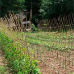 The Riverside Inn, a rural Herefordshire restaurant, we aim to bring the best seasonal ingredients from the area and our own garden in a creative way. Andy Link