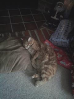 FollowBacklovex's profile picture. Follow me if you think @derrenbrown is the most inspirational man on earth xoxoxoxoxoxoxoxoxoxoxox