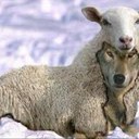 Derrick Cooley - @weboughtalie - Twitter