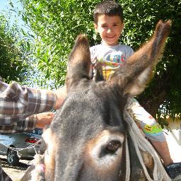 cemil_peker's profile picture. 