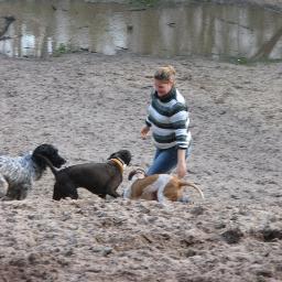 Gezellige en ontspannende wandelingen voor alle honden en voor in uw vakantie een ervaren thuisoppas voor uw dieren.