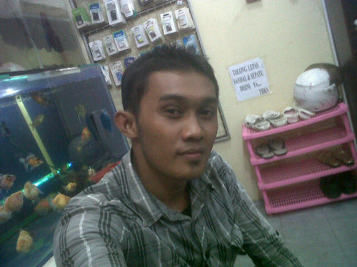 Aku cinta sjtipin bBB qu 217FE29A