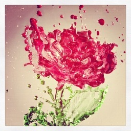 Carpi Diem