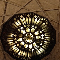 NGC2080's profile picture. Student. Idealist. Bibliophile. Wanderer/Wonderer. Sesquipedalian. Metalhead. Aspiring hermit. Enjoyer of Sci-Fi & Fantasy.