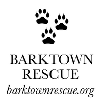 Barktown Rescue(@BarktownRescue) 's Twitter Profile Photo