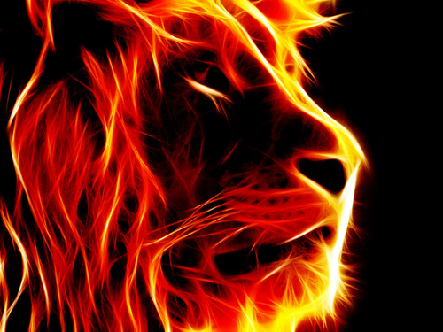 im 13 I like cars /games/youtube/zombies/minecraft/MODZz/husky dogs / girls and my crew :-D