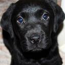 Reyna Galván Cruz - @reynagac - Twitter