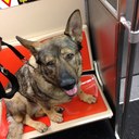 jay waltz - @jaywaltz22 - Twitter