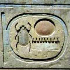 EhnusiCiogele's profile picture. Nada ni nadie es realmente lo que parece, así que mejor debatamos cada idea una por una.