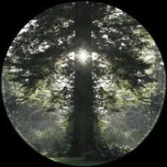 LuciferDaystar's profile picture. Lucifer Daystar...aka The Prince of Darkness...Allow the Darkness to Light YOUR Path... ; )