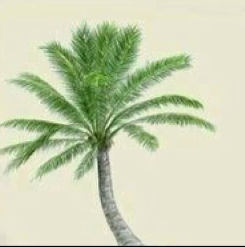 fwrnkmn's profile picture. 