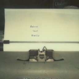 The collaborative photographic exploits of Nina Westervelt and James Joiner.