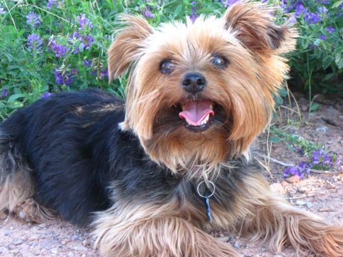 anotherUTblonde's profile picture. I speak in sarcasm and dabble in medicine.  Always looking for the next adventure.  Blondes do it best.