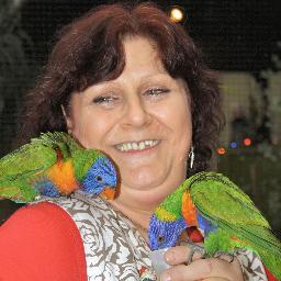 MarjonvanAken's profile picture. 