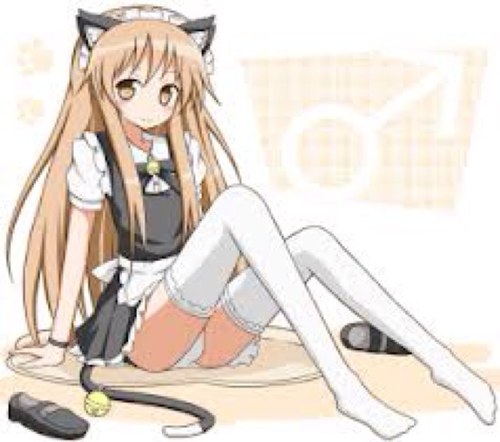 Hi im Askia | #Futanari #Slave #Neko | [RP +18]