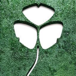 Shamrock Auto Group LLC Dealership is one of the top Used Cars lots in the country. Our primary concern is the satisfaction of our customers.