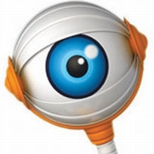 Tudo sobre o BBB13